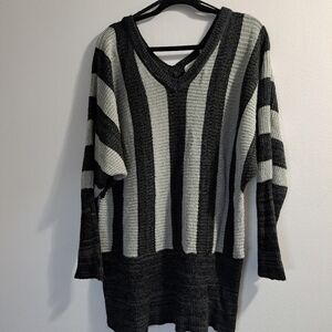 Caren Sport 2X Striped Knit Sweater